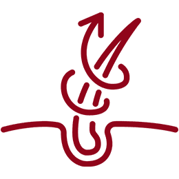 Lack of Follicle Stimulation